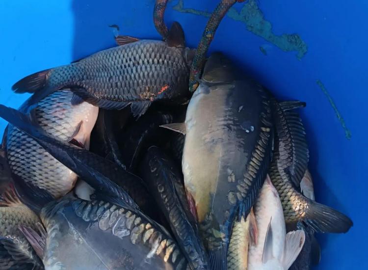Img 20260627 14282310