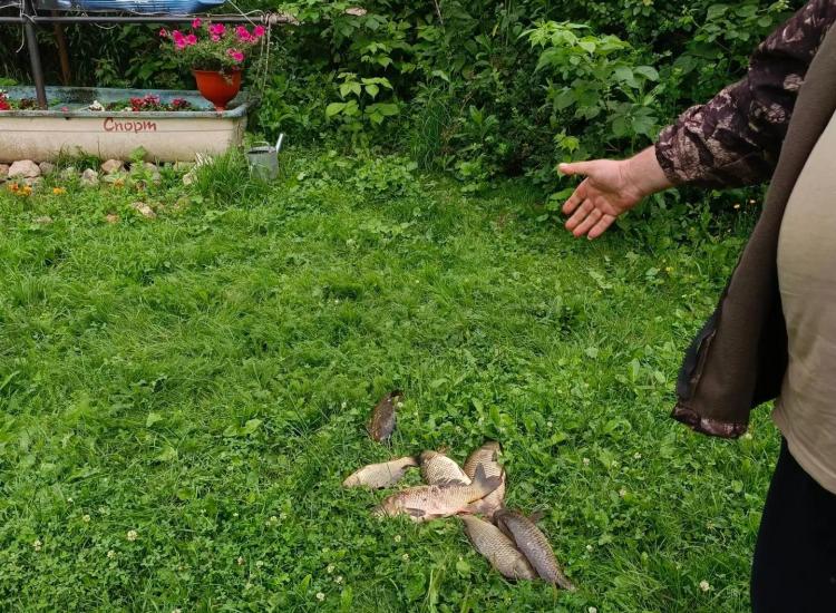Img 20260712 230430